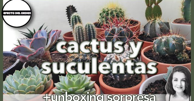 ����  Trucos de CACTUS y SUCULENTAS �� ��+ Unboxing SORPRESA (ad)