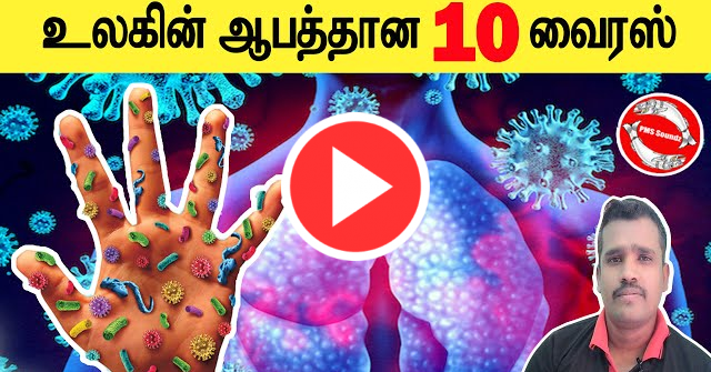 உலகின் ஆபத்தனா 10 வைரஸ் | Top10 virus in the world | Tamil | PMSSoundz