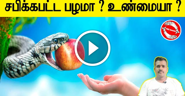 Adam vs Eve vs Apple Explained | Forbidden fruit | Eden Garden | Tamil | PMSSoundz